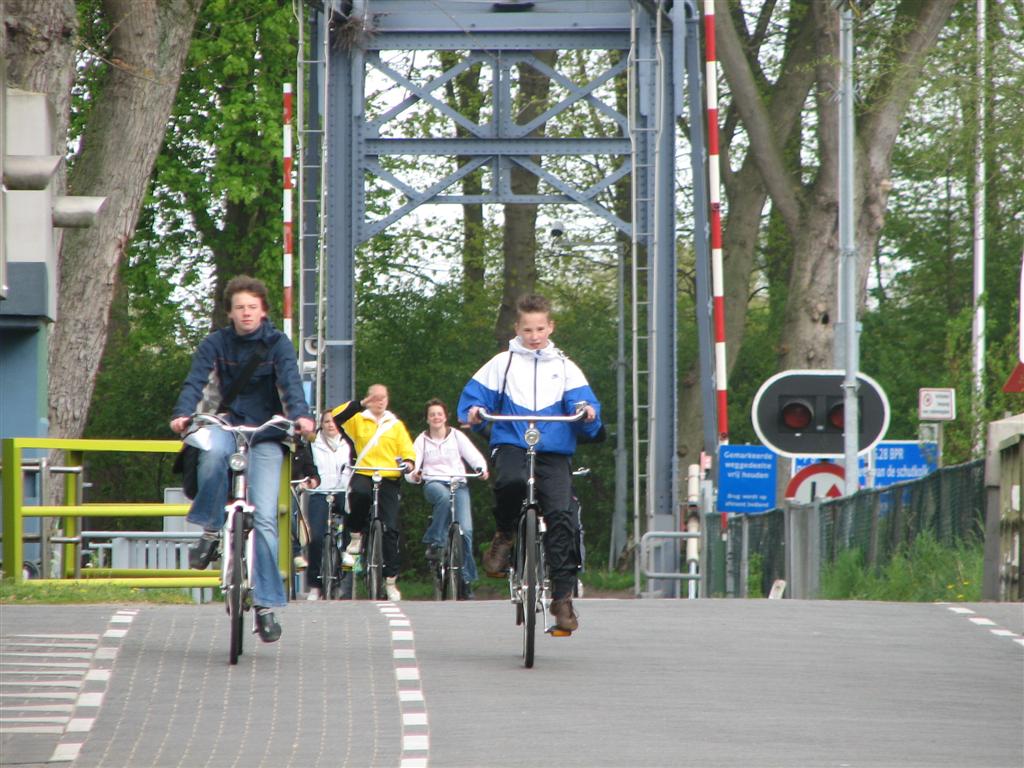 IMG_9836 (Large).jpg